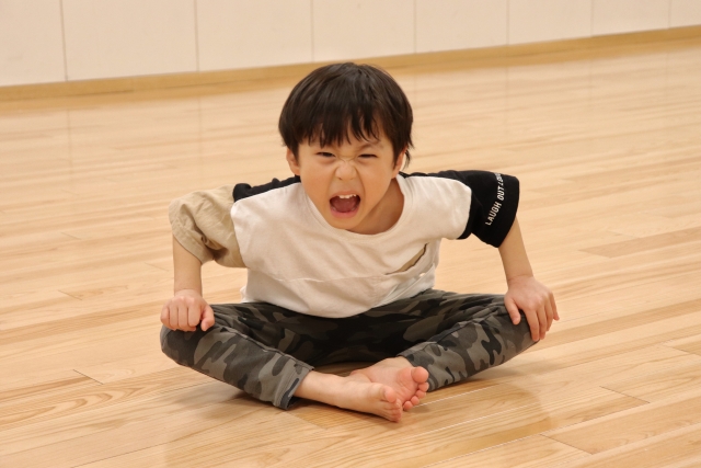 うちの子はどちらが向いてる?選ぶときの見方